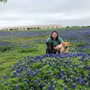 Meet your Posher, Bailey